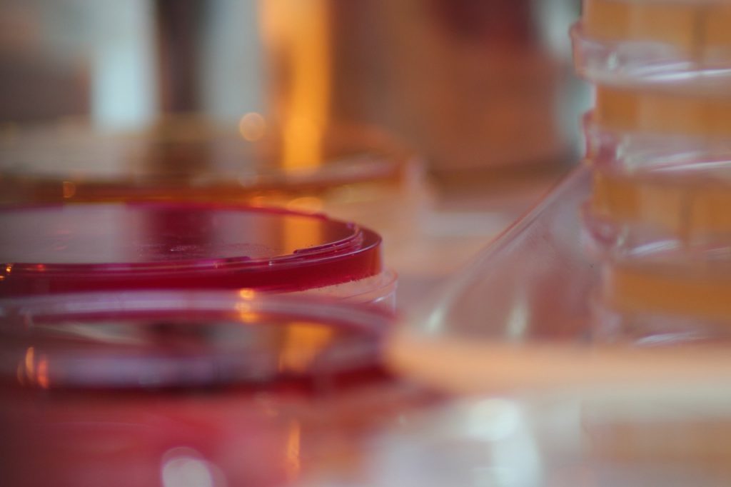 Microbial quality in cosmetics